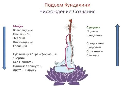 Открой свою энергию: уникальная программа кундалини йоги от Юлии Чай