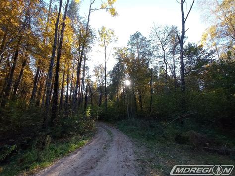 Тайны весеннего лесного озера: поход в Одинцовском парке 19 апреля